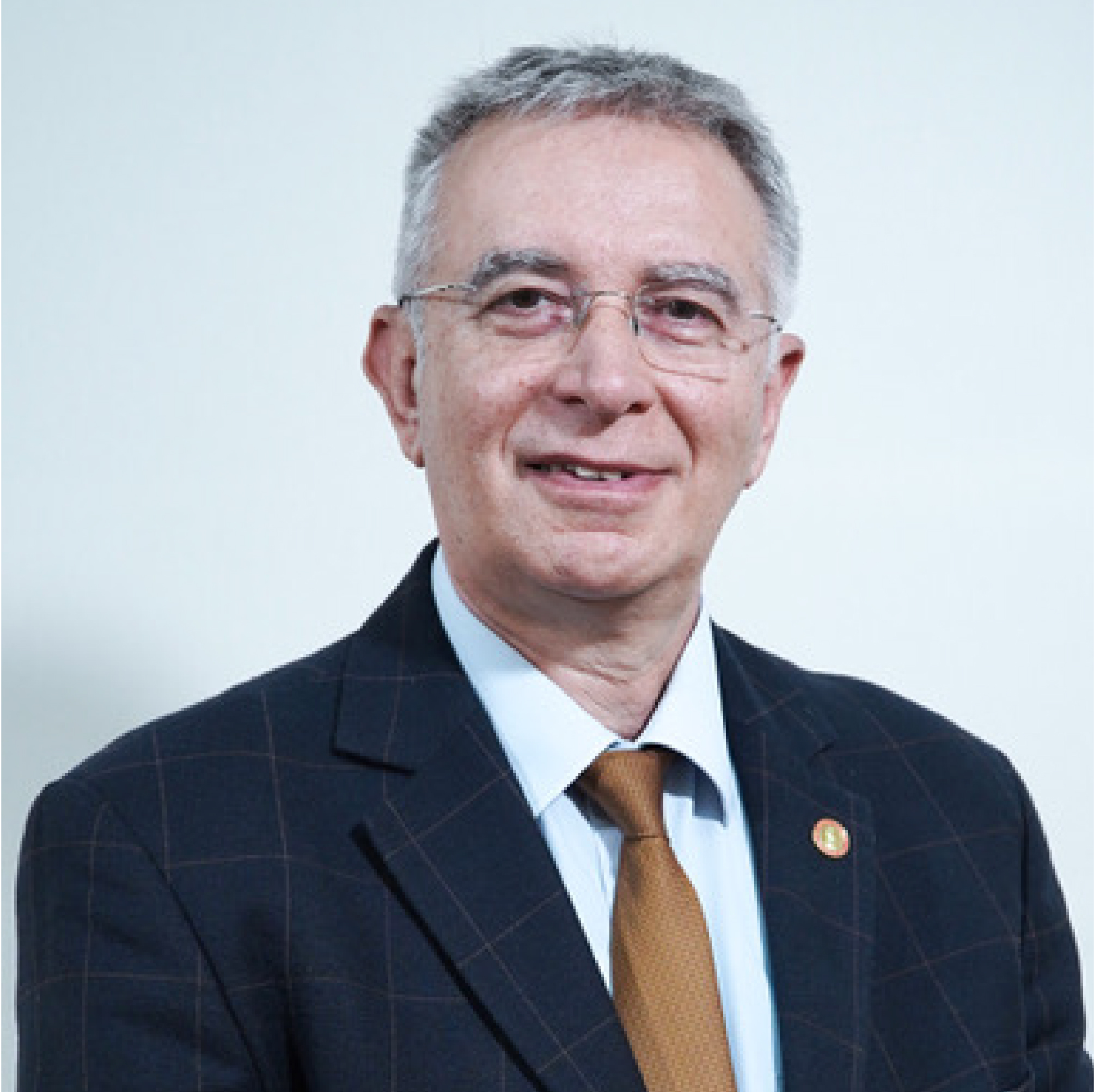 Βασίλης Γοργούλης